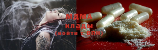 ГАЛЛЮЦИНОГЕННЫЕ ГРИБЫ Ельня