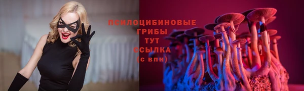 прущие грибы Алексеевка