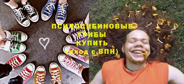 прущие грибы Алексеевка