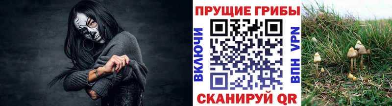 mega ССЫЛКА  Вологда  Галлюциногенные грибы прущие грибы 